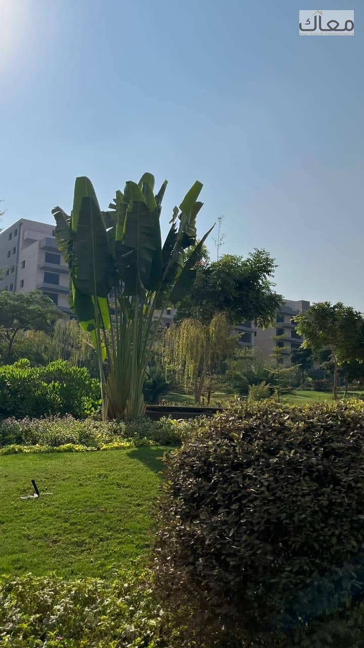 6 WhatsApp Image 2025-12-21 at 2.31. 26 AM. jpeg