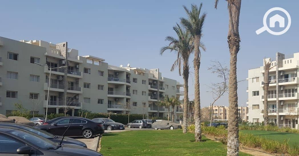 3 e9c633d0-86c2-4d69-9f65-19d83b46ede7. jpg