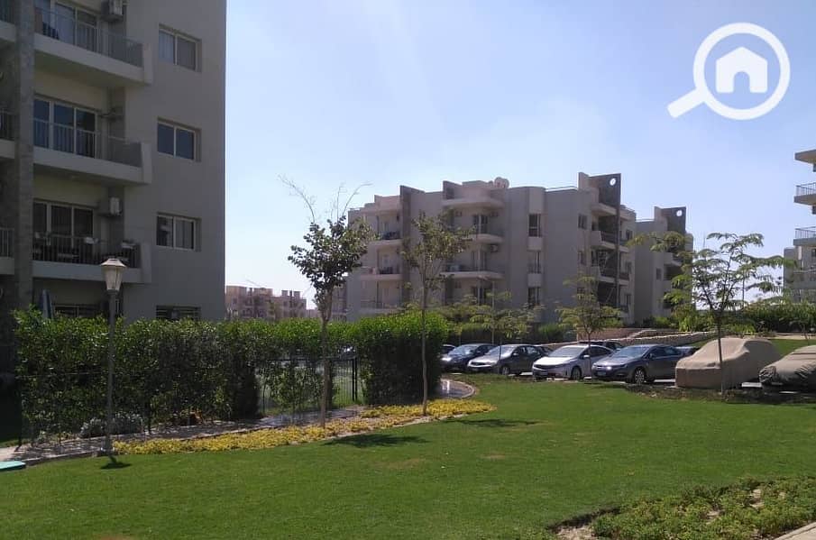 10 7a3976f7-63b2-4285-ba1f-79780a8dd7bc. jpg