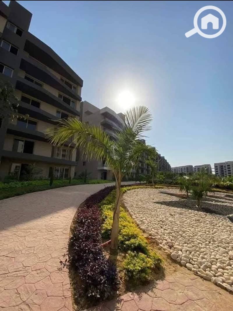 11 bfae5659-147f-4444-8167-2c472ec3806a. jpg