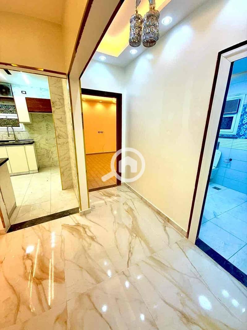 11 df8ba126-154c-41ff-a85f-e526344ec838. jpg