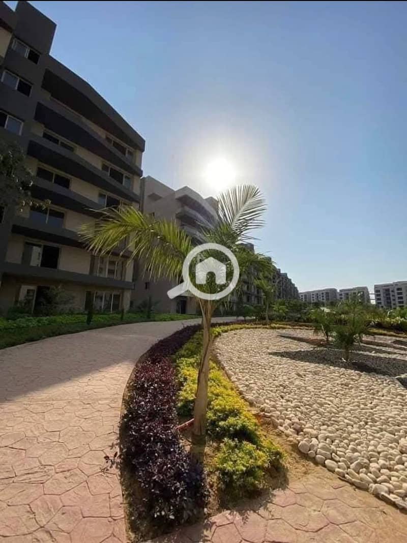 11 bfae5659-147f-4444-8167-2c472ec3806a. jpg