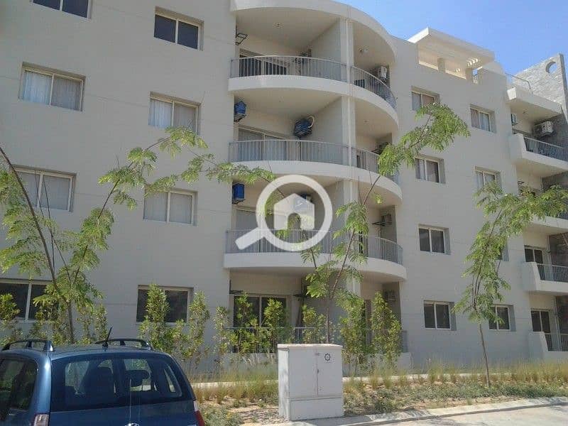 3 WhatsApp Image 2025-01-06 at 3.34. 21 PM. jpeg