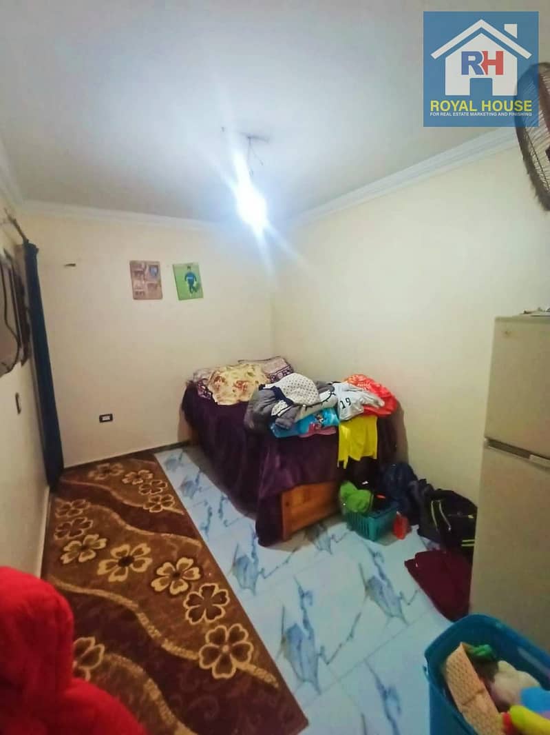 5 02b19eee-0b2b-415e-9b0e-bb3a9dc7413d. jpg