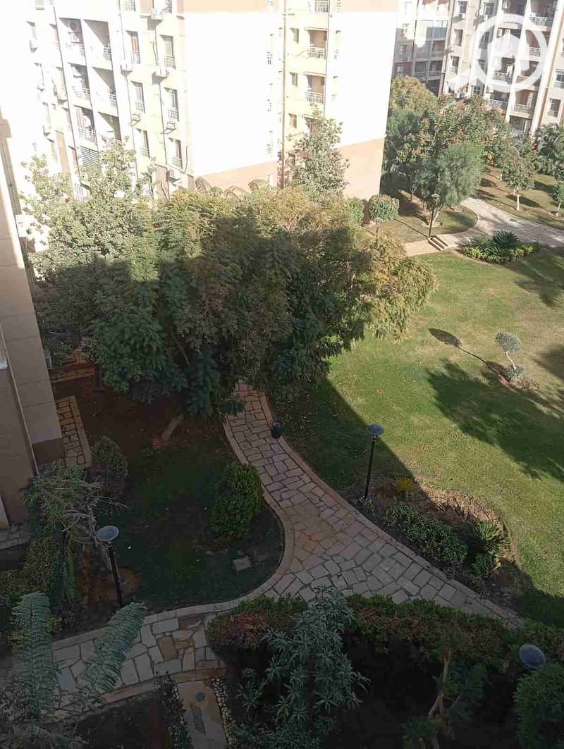 1000554953. jpg 1000554953. jpg