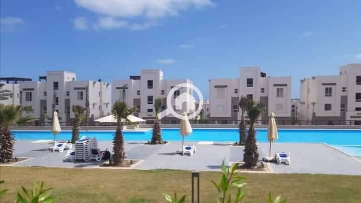 7 WhatsApp Image 2025-11-27 at 15.17. 04. jpeg