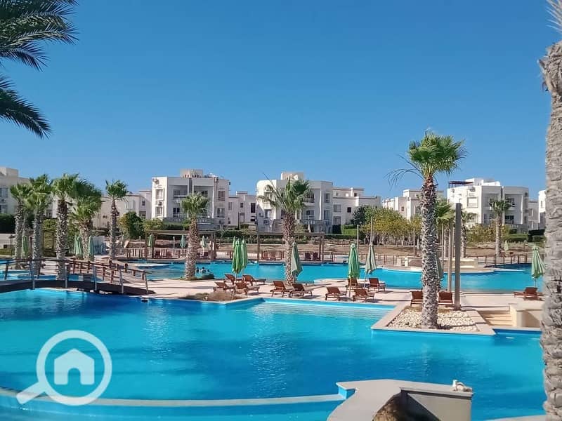 10 WhatsApp Image 2025-10-07 at 23.15. 42 (3). jpeg