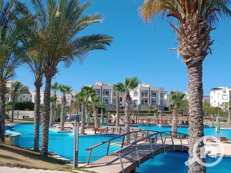 11 WhatsApp Image 2025-10-07 at 23.15. 42 (2). jpeg