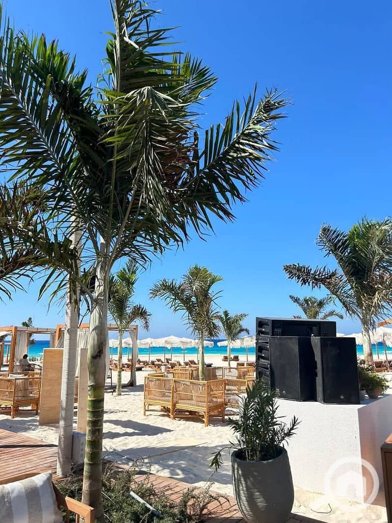 15 WhatsApp Image 2025-07-13 at 21.30. 05_dd789a10. jpg