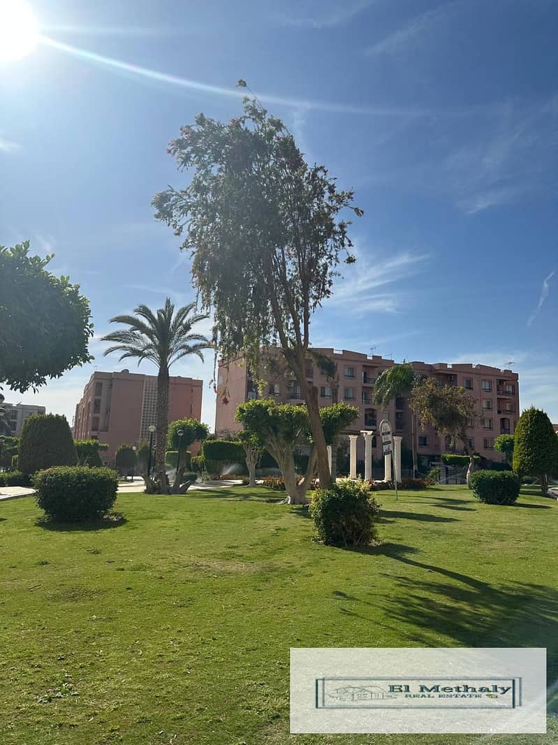 2 WhatsApp Image 2026-01-25 at 7.08. 40 698. jpeg