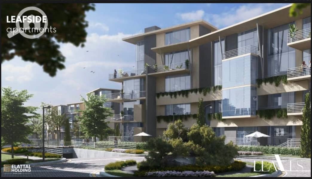 3 WhatsApp Image 2024-08-15 at 12.45. 52_a779d13e. jpg