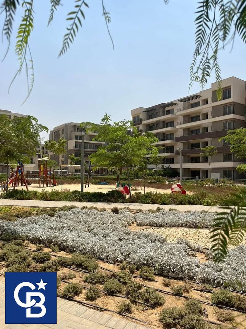 8 559802657_25008120878828854_1664302550708404903_n. jpg