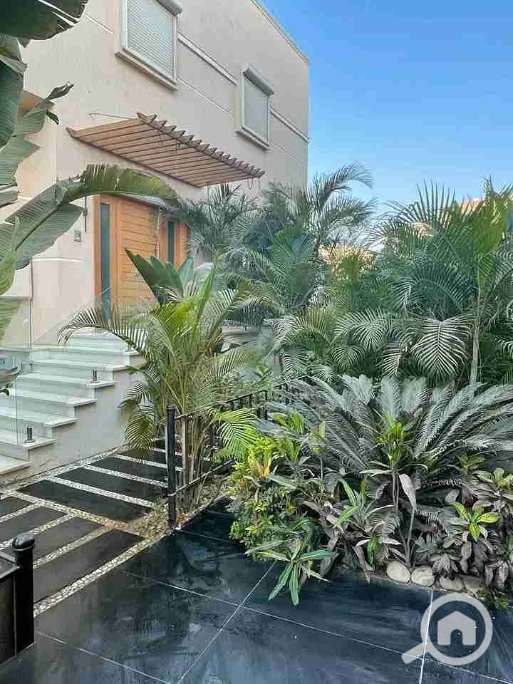 1000501795. jpg 1000501795. jpg