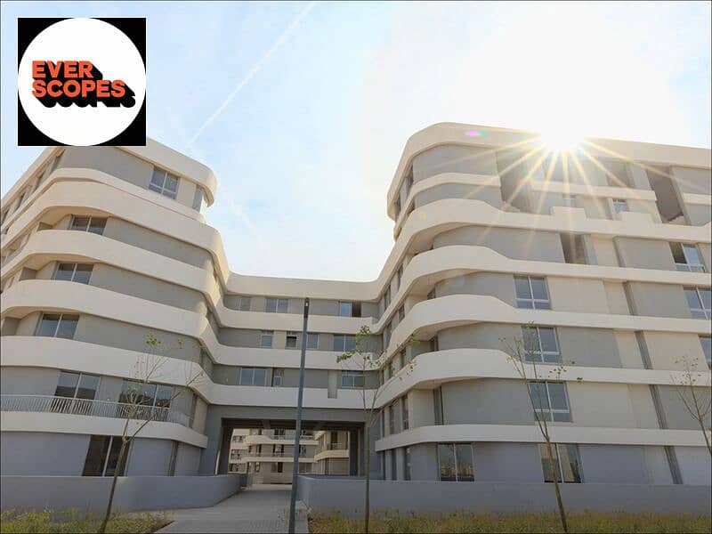 4 WhatsApp Image 2025-11-04 at 12.43. 41_e0502861. jpg