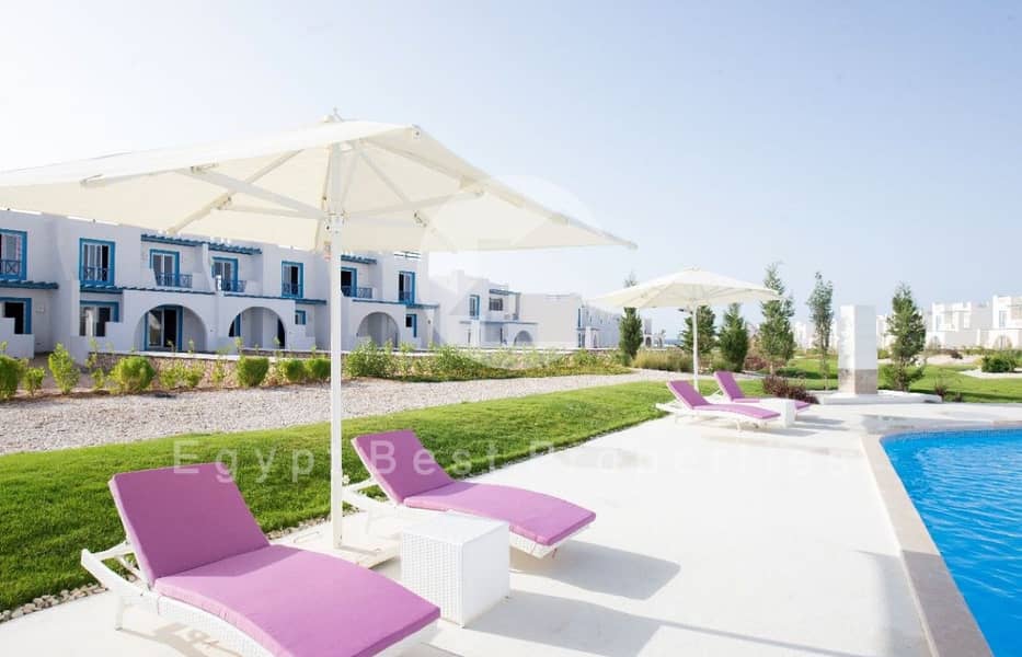 4 WhatsApp Image 2025-08-06 at 13.56. 07_33fae5fb (Custom) (Custom). jpg