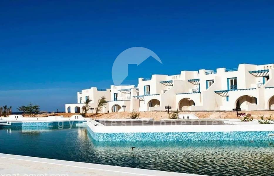 8 4 (Custom) (Custom). jpg