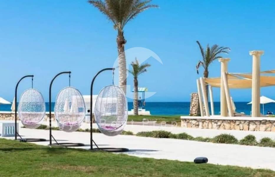 16 12 (Custom) (Custom). jpg