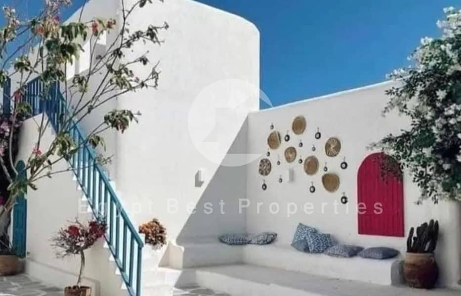 17 13 (Custom) (Custom). jpg