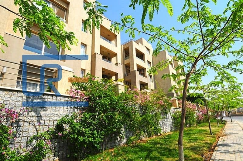 6 96088832-904a-44d3-ad1b-4539b7073aa9. jpg