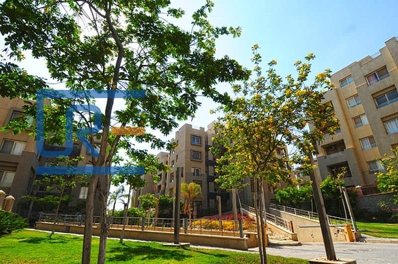 8 b569e8bc-7bf1-493d-a02d-d4343403ad9d. jpg