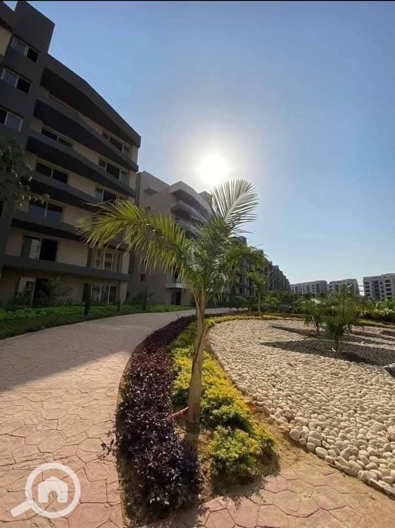 11 bfae5659-147f-4444-8167-2c472ec3806a. jpg