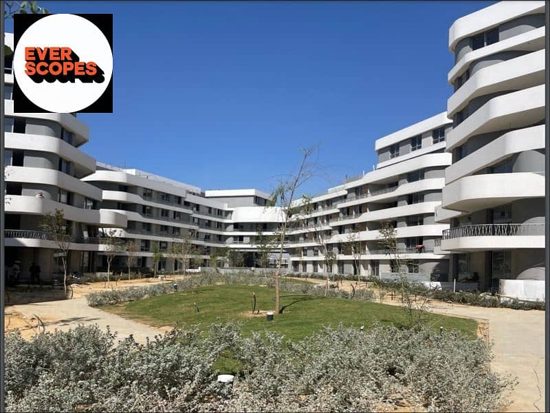 5 WhatsApp Image 2025-11-04 at 12.43. 41_91c5571f. jpg