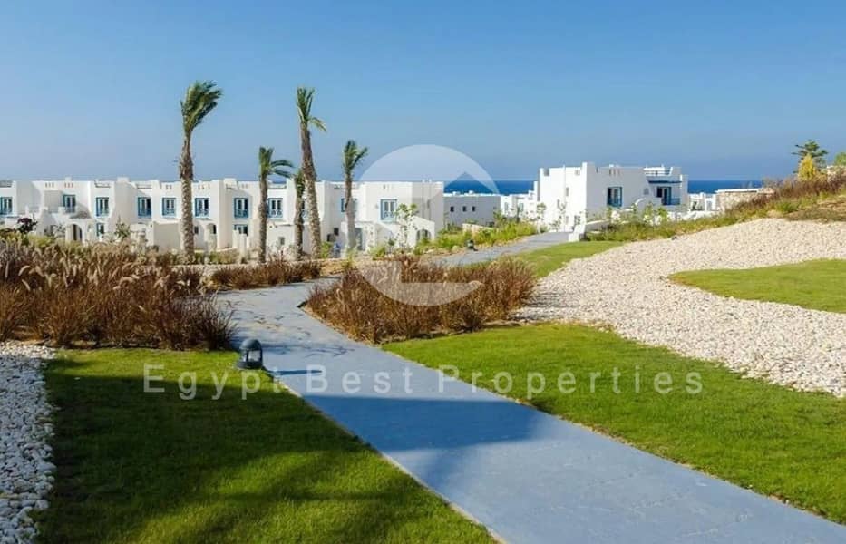 8 7 (Custom) (Custom). jpg