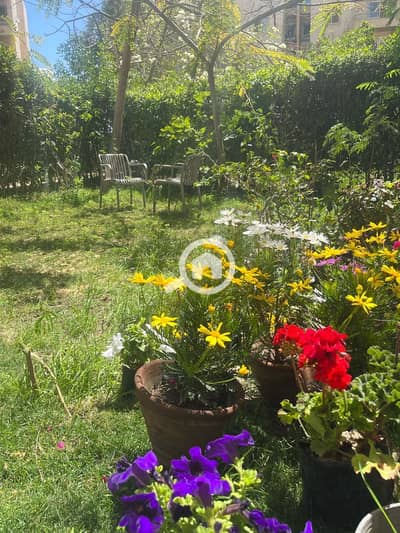 شقة 1 غرفة نوم للايجار في الشيخ زايد، الجيزة - 3baa96a7-3797-491f-bd70-b2756a9952b1. jpg