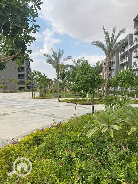 4 0f45f177-1153-4dac-9509-b69b93147257. jpg