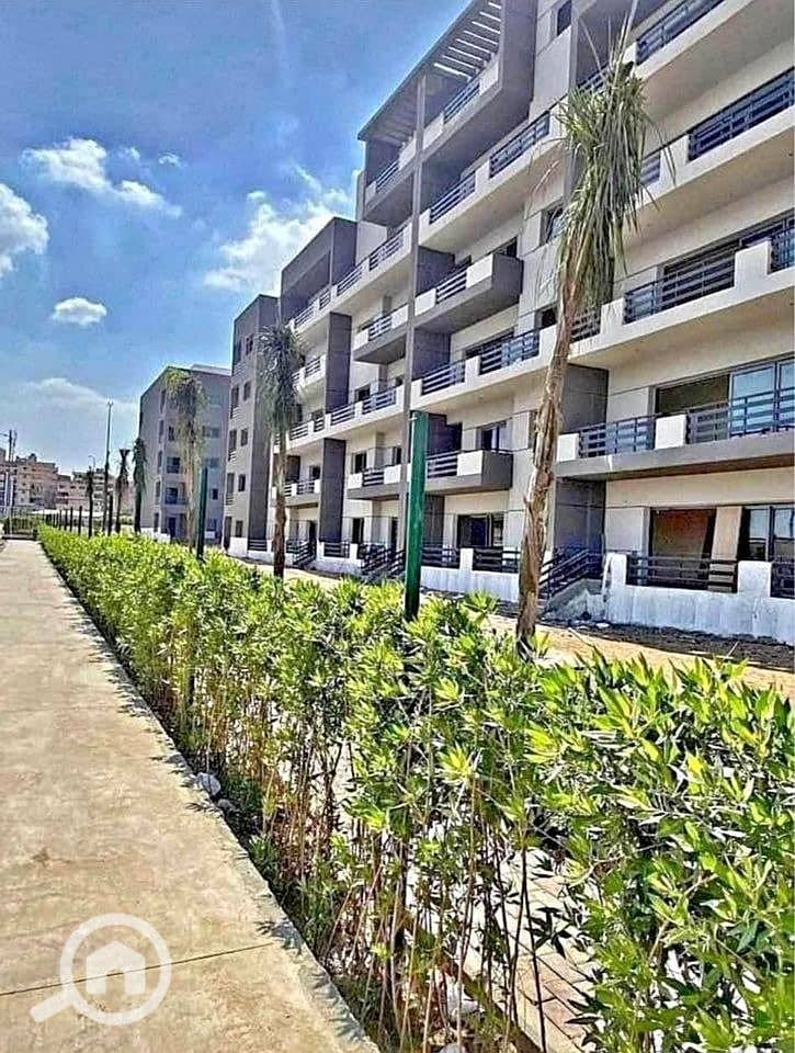 14 cf56f48e-2ada-41b2-850e-762bf6f30cc4. jpg