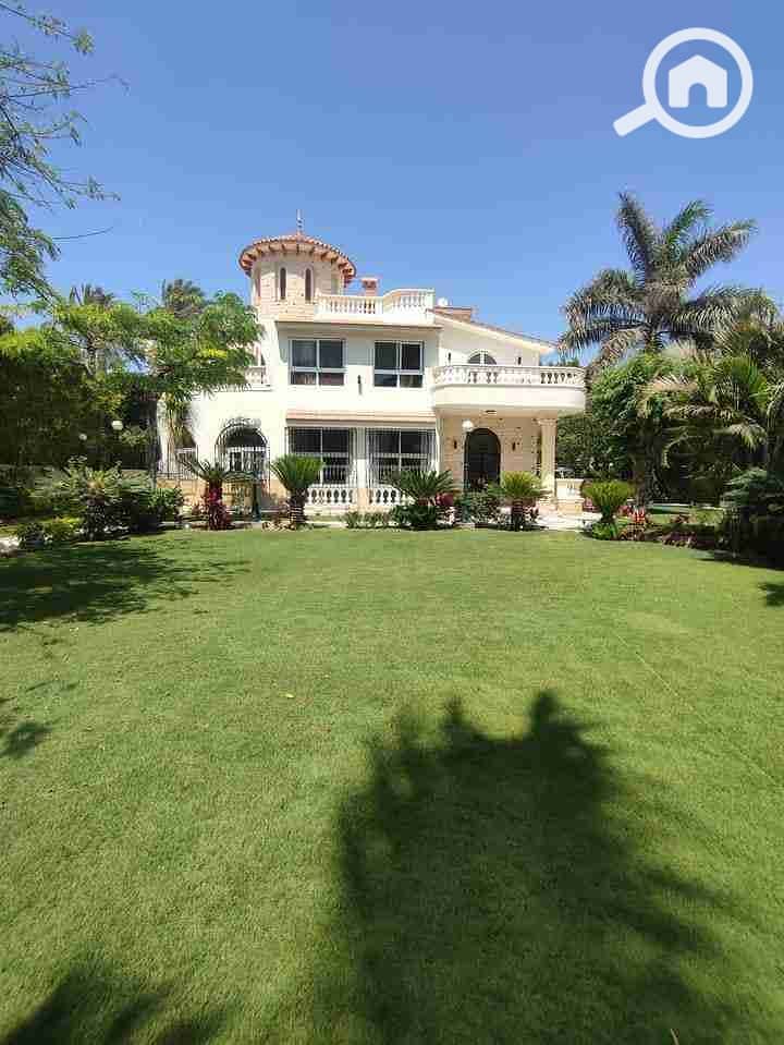 6 FB_IMG_1683284718720. jpg