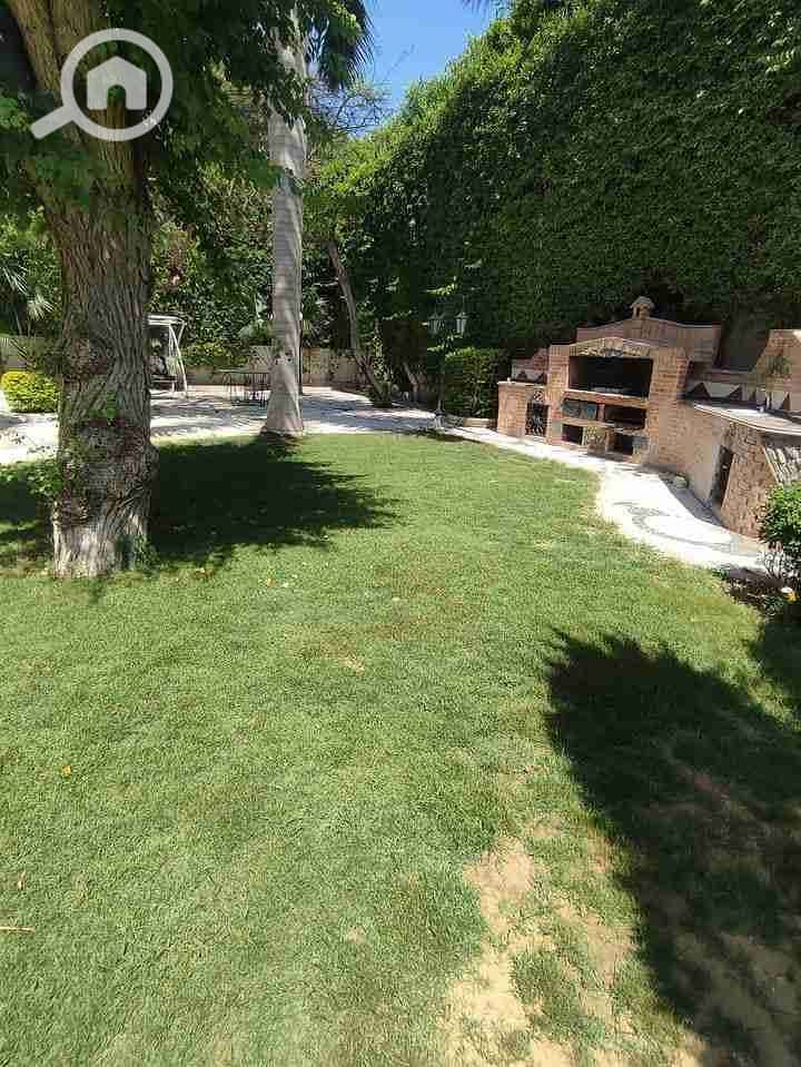 7 FB_IMG_1683284714618. jpg