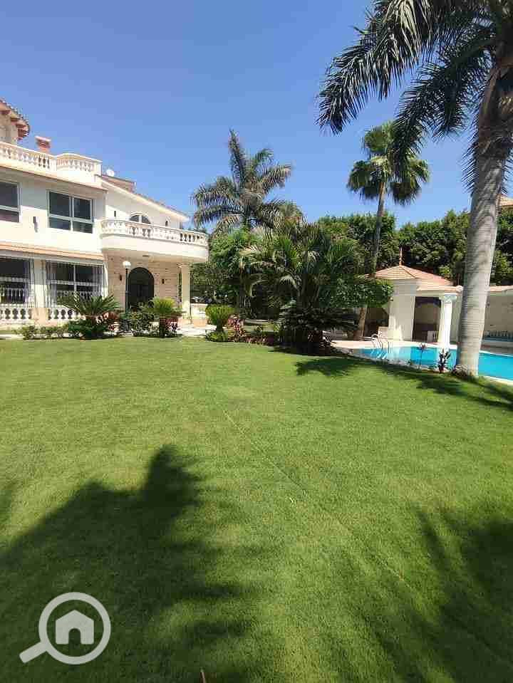 8 FB_IMG_1683284727393. jpg