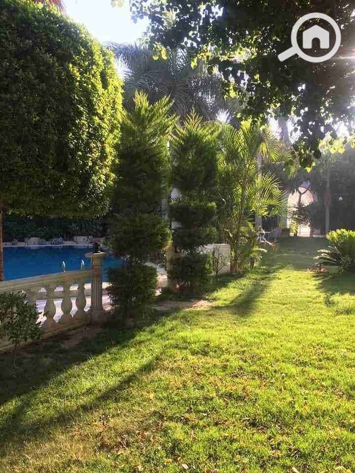 11 FB_IMG_1683284740052. jpg