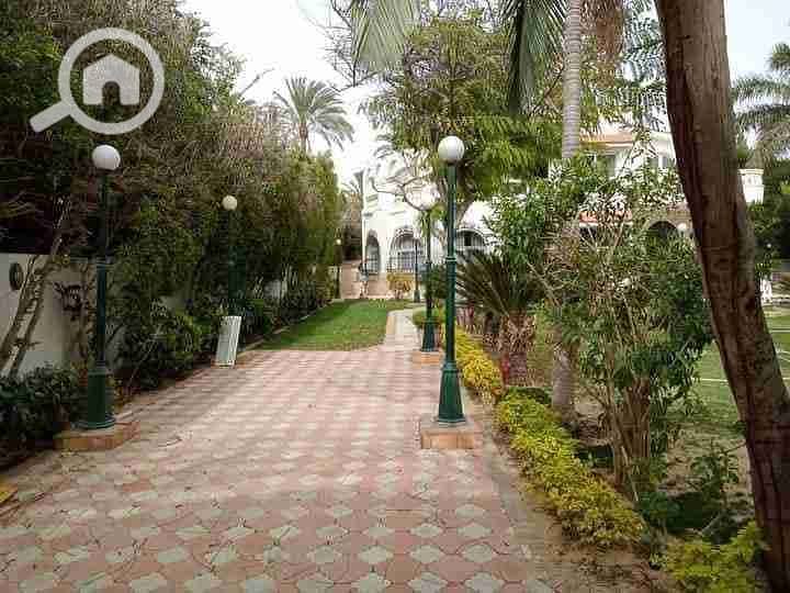 12 FB_IMG_1683284738498. jpg