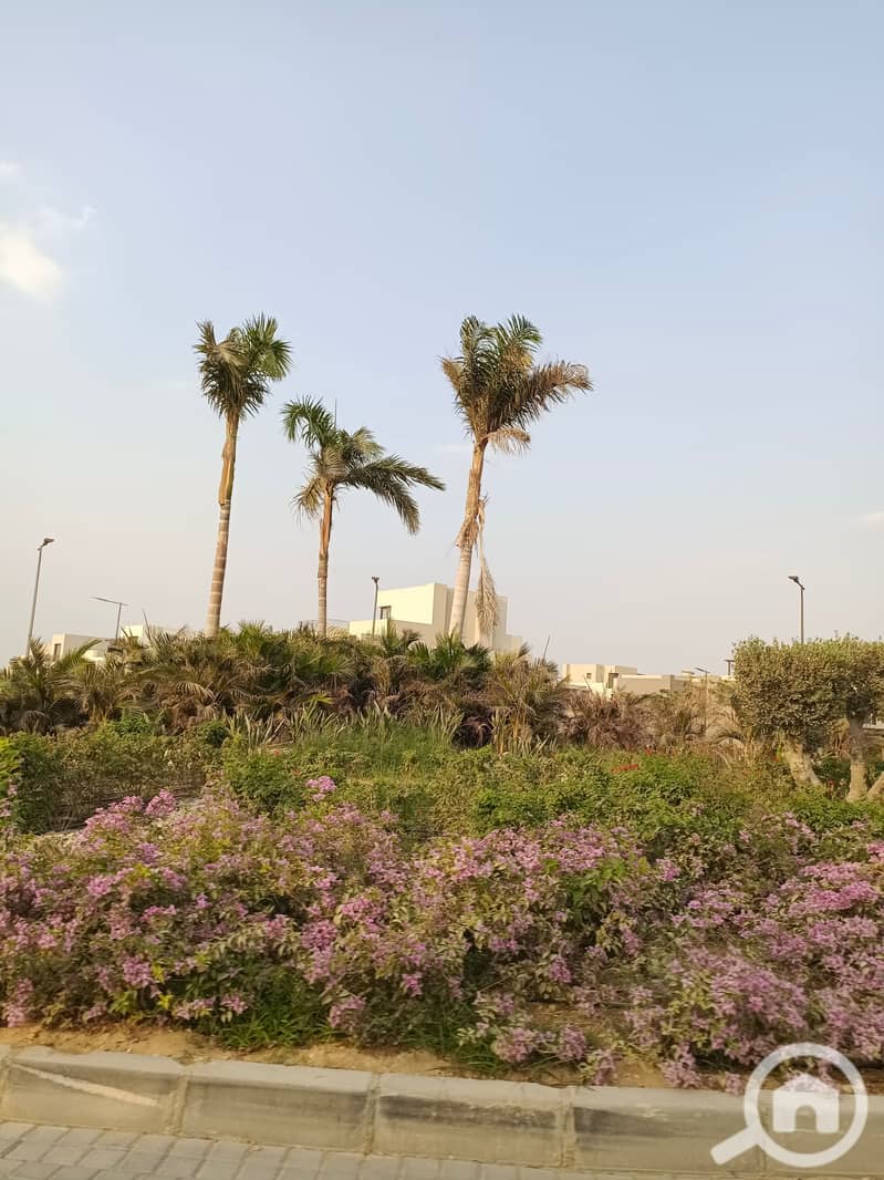 9 IMG_20231009_165833. jpg