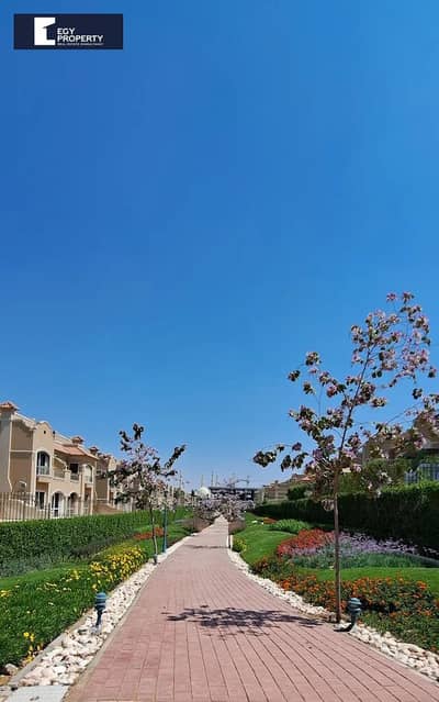 3 Bedroom Apartment for Sale in New Cairo, Cairo - patiioo. jpeg