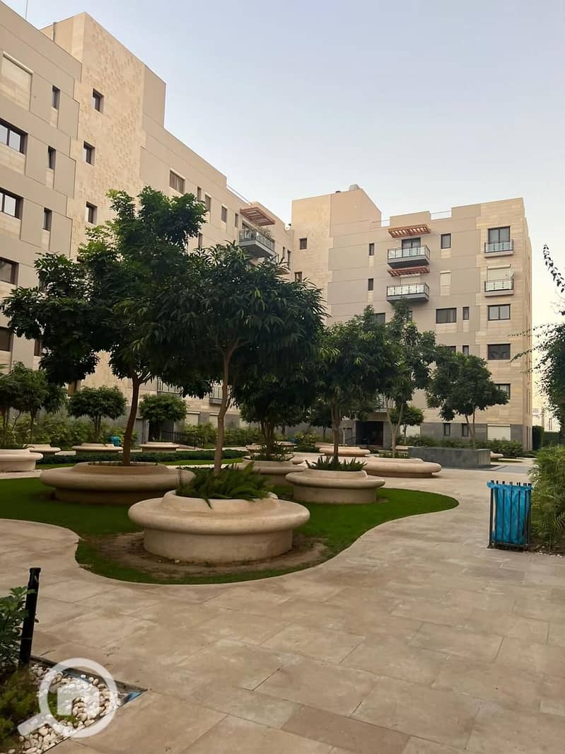 10 475996365_122209719758205660_7002560196932569978_n. jpg