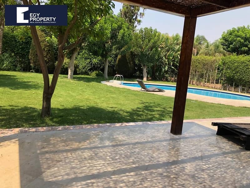 2 _files_WhatsApp Image 2025-09-24 at 19.04. 41_bf9ef094. jpg