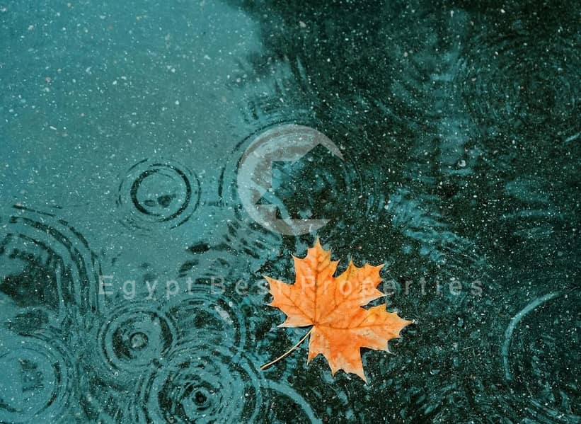 10 WhatsApp Image 2026-01-26 at 2.37. 24 PM. jpeg