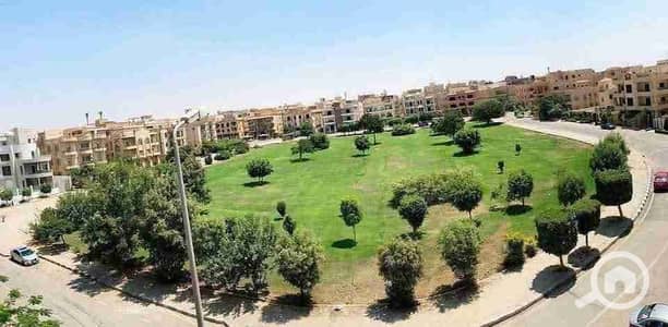 3 Bedroom Apartment for Rent in New Cairo, Cairo - 1000199054. jpg