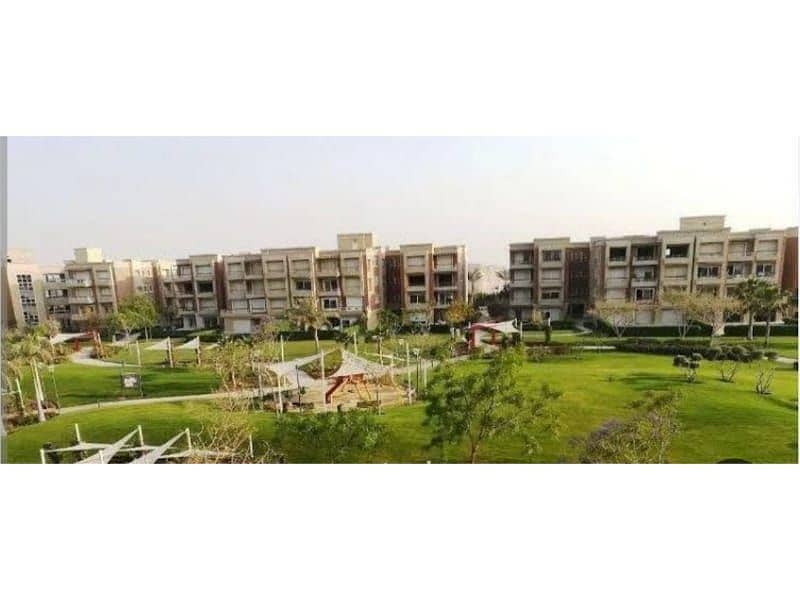 7 7aceeb0a-224b-4348-9233-0cf1ff54e98f. jpg