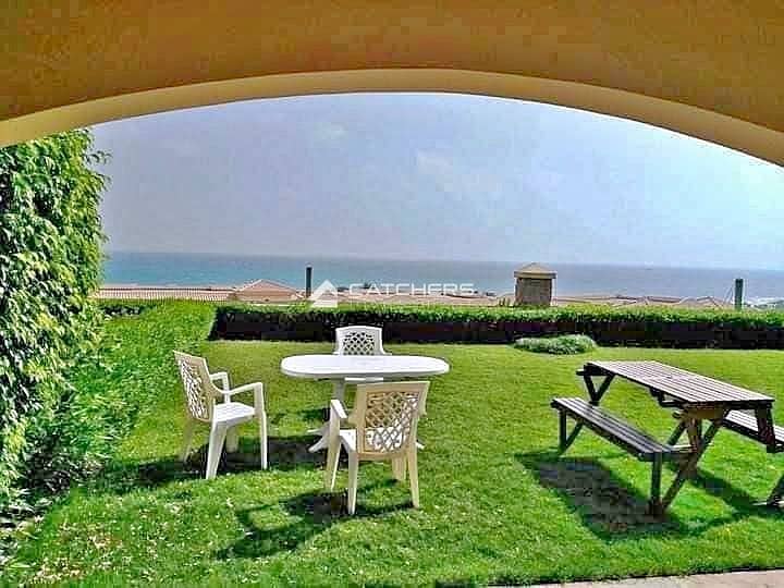 365379256_6225434224252822_11569795811663554_n. jpg 365379256_6225434224252822_11569795811663554_n. jpg