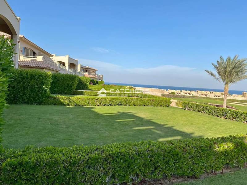 3 365383706_7390640527628943_5168420161410803499_n. jpg