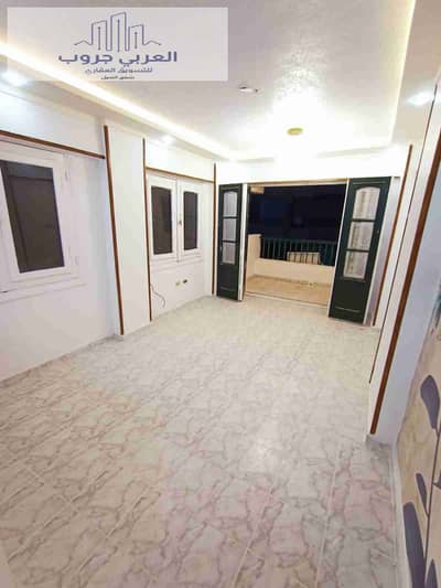 فلیٹ 2 غرفة نوم للبيع في النخيل، الإسكندرية - 1000357038. jpg