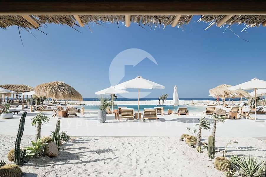 11 WhatsApp Image 2025-08-05 at 11.49. 33_e0ff7010. jpg