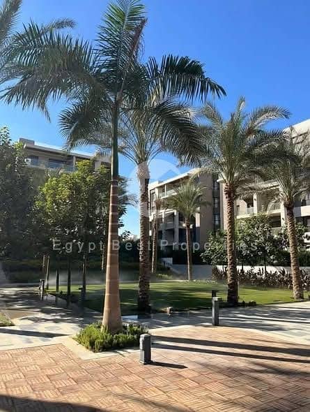 8 619886214_785208391262966_5305574338587337110_n. jpg