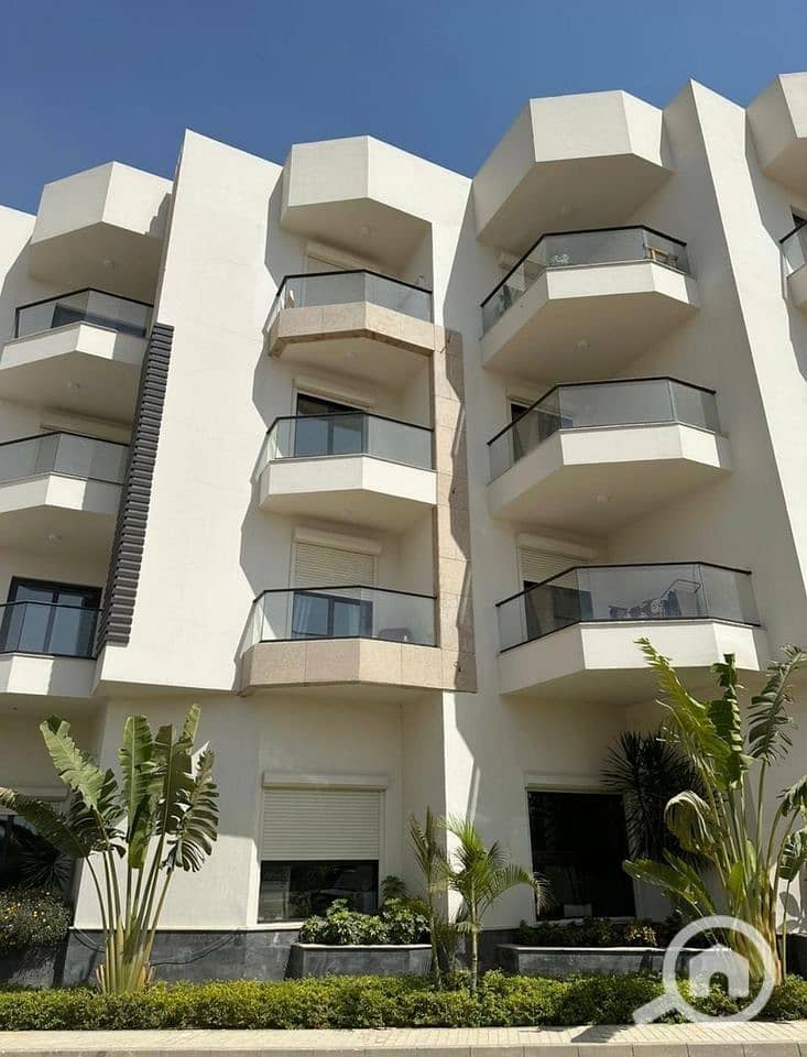 2 482710570_1205258110941607_5528693896876433815_n. jpg