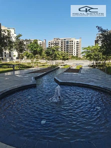 6 549609217_122105697741003867_907720887626604963_n. jpg