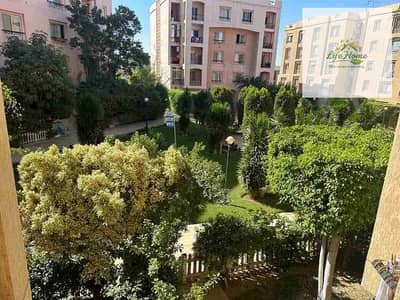 فلیٹ 3 غرف نوم للايجار في القاهرة الجديدة، القاهرة - 1000865628. jpg